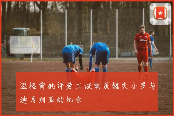 温格曾批评劳工证制度错失小罗与迪马利亚的机会