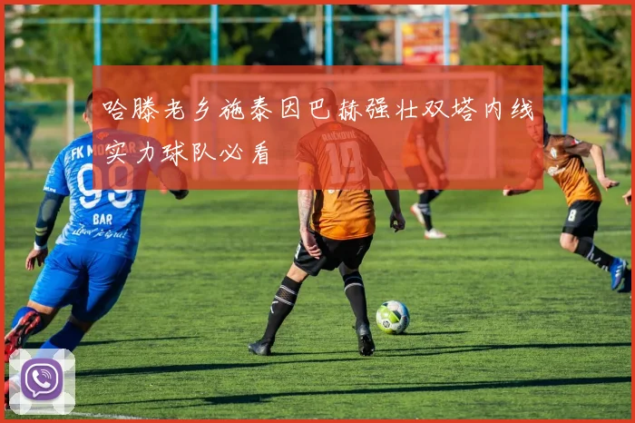 哈滕老乡施泰因巴赫强壮双塔内线实力球队必看